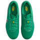 Nike Jr. Legend 10 Academy FG/MG LV8